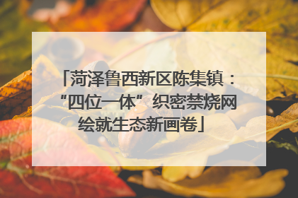 菏泽鲁西新区陈集镇：“四位一体”织密禁烧网 绘就生态新画卷