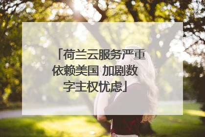 荷兰云服务严重依赖美国 加剧数字主权忧虑