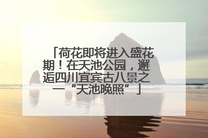 荷花即将进入盛花期！在天池公园，邂逅四川宜宾古八景之一“天池晚照”