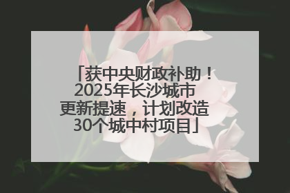获中央财政补助！2025年长沙城市更新提速，计划改造30个城中村项目