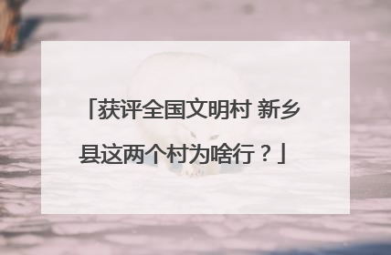 获评全国文明村 新乡县这两个村为啥行？