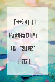 老河口王府洲有机西瓜“甜蜜”上市