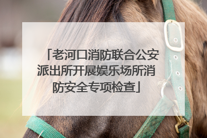 老河口消防联合公安派出所开展娱乐场所消防安全专项检查