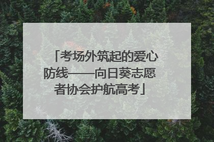 考场外筑起的爱心防线——向日葵志愿者协会护航高考