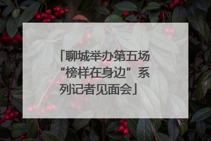 聊城举办第五场“榜样在身边”系列记者见面会