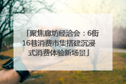 聚焦廊坊经洽会：6街16巷消费市集搭建沉浸式消费体验新场景