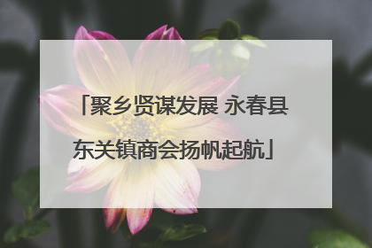 聚乡贤谋发展 永春县东关镇商会扬帆起航