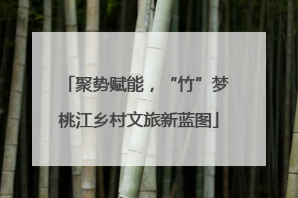 聚势赋能，“竹”梦桃江乡村文旅新蓝图
