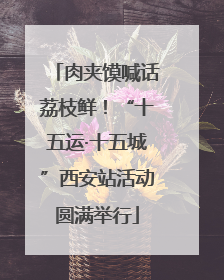 肉夹馍喊话荔枝鲜！“十五运·十五城”西安站活动圆满举行