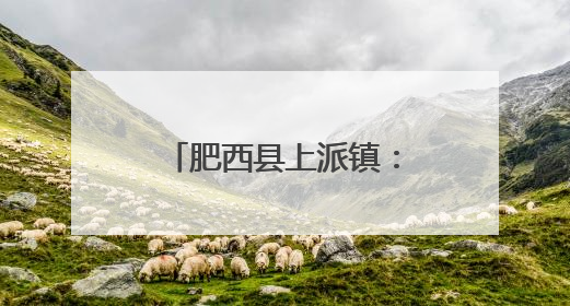 肥西县上派镇：窗帘之约——开启社区治理“银发订制”时光