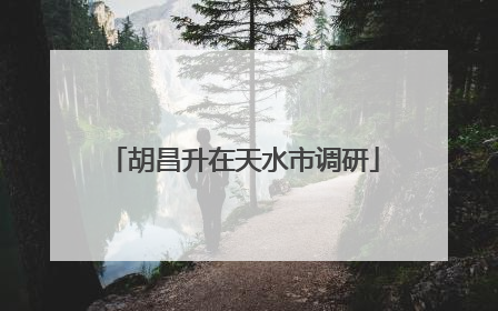 胡昌升在天水市调研