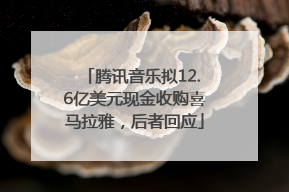 腾讯音乐拟12.6亿美元现金收购喜马拉雅，后者回应