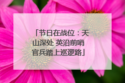 节日在战位：天山深处 英沿前哨官兵踏上巡逻路