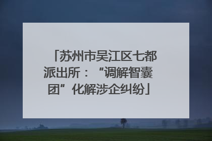 苏州市吴江区七都派出所：“调解智囊团”化解涉企纠纷