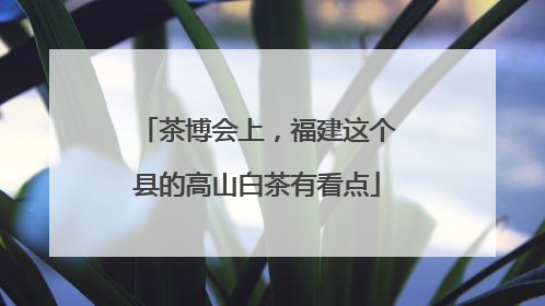 茶博会上，福建这个县的高山白茶有看点