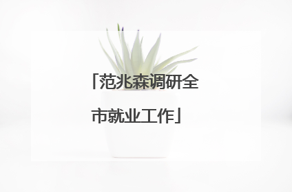 范兆森调研全市就业工作