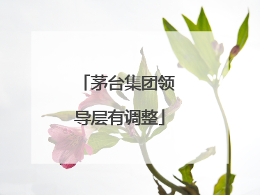 茅台集团领导层有调整