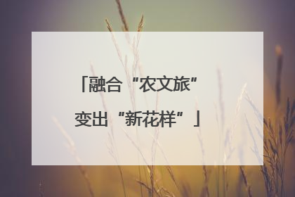 融合“农文旅” 变出“新花样”