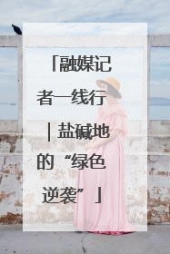 融媒记者一线行｜盐碱地的“绿色逆袭”