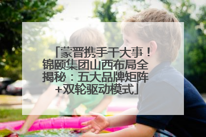 蒙晋携手干大事！锦颐集团山西布局全揭秘：五大品牌矩阵+双轮驱动模式