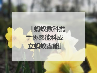 蚂蚁数科携手协鑫能科成立蚂蚁鑫能
