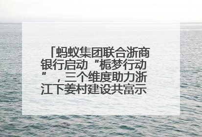 蚂蚁集团联合浙商银行启动“栀梦行动”，三个维度助力浙江下姜村建设共富示范区示范点