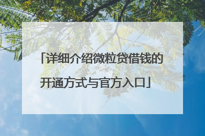 详细介绍微粒贷借钱的开通方式与官方入口