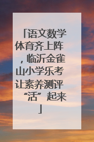 语文数学体育齐上阵，临沂金雀山小学乐考让素养测评“活”起来