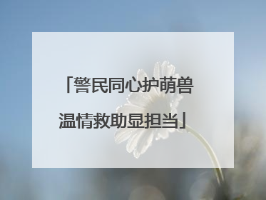 警民同心护萌兽 温情救助显担当