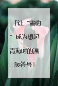 让“雪豹”成为想起青海时的温暖符号