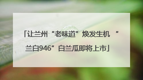 让兰州“老味道”焕发生机 “兰白946”白兰瓜即将上市