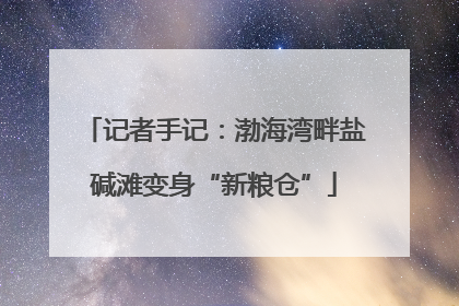 记者手记：渤海湾畔盐碱滩变身“新粮仓”