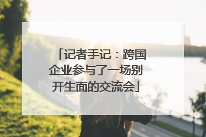 记者手记：跨国企业参与了一场别开生面的交流会