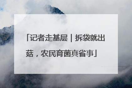记者走基层｜拆袋就出菇，农民育菌真省事