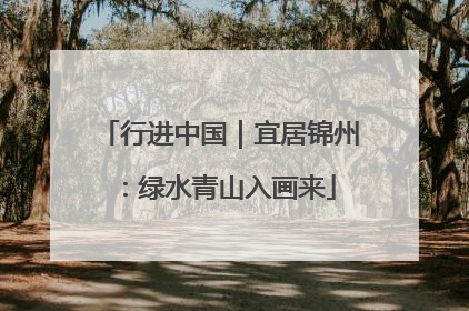 行进中国｜宜居锦州：绿水青山入画来
