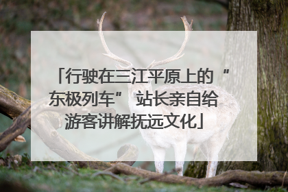 行驶在三江平原上的“东极列车” 站长亲自给游客讲解抚远文化