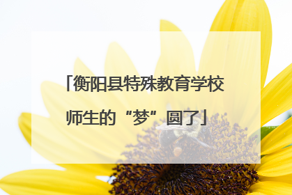 衡阳县特殊教育学校师生的“梦”圆了