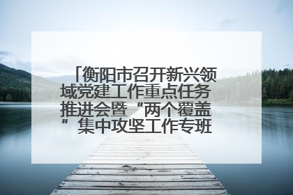 衡阳市召开新兴领域党建工作重点任务推进会暨“两个覆盖”集中攻坚工作专班 第一次会议