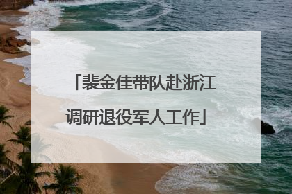 裴金佳带队赴浙江调研退役军人工作