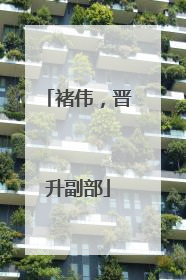 褚伟，晋升副部