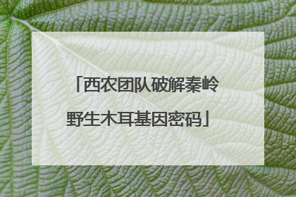 西农团队破解秦岭野生木耳基因密码