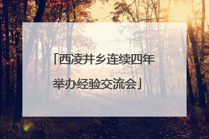西凌井乡连续四年举办经验交流会