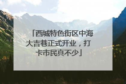西城特色街区中海大吉巷正式开业，打卡市民真不少