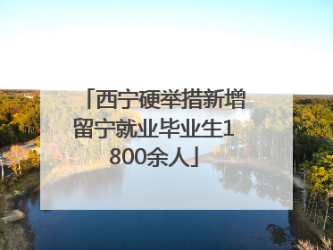 西宁硬举措新增留宁就业毕业生1800余人