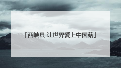 西峡县 让世界爱上中国菇
