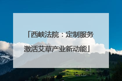 西峡法院：定制服务激活艾草产业新动能