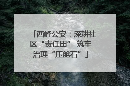 西峰公安：深耕社区“责任田” 筑牢治理“压舱石”