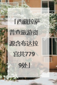 西藏拉萨普查旅游资源含布达拉宫共7799处