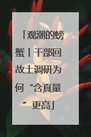 观潮的螃蟹丨干部回故土调研为何“含真量”更高