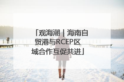 观海潮｜海南自贸港与RCEP区域合作互促共进